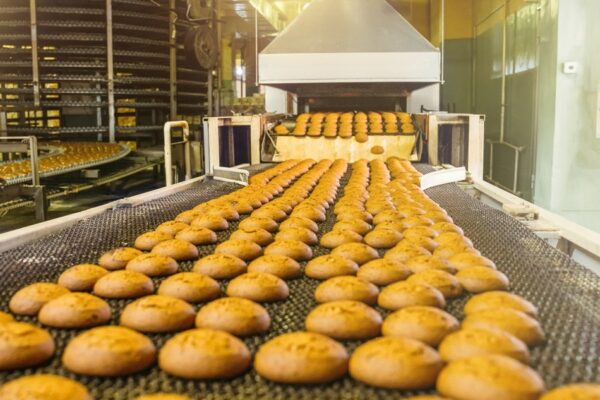 Food Processing Lines and Conveyors