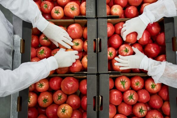 Food Storage and Packing